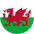 South Wales Flag for Mark King Properties South Wales